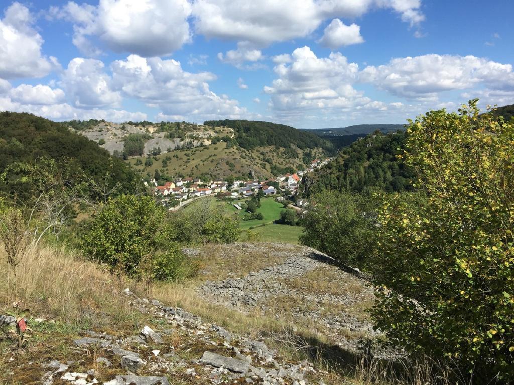 Haus "Am Muehlheimer Berg" Mörnsheim Eksteriør billede