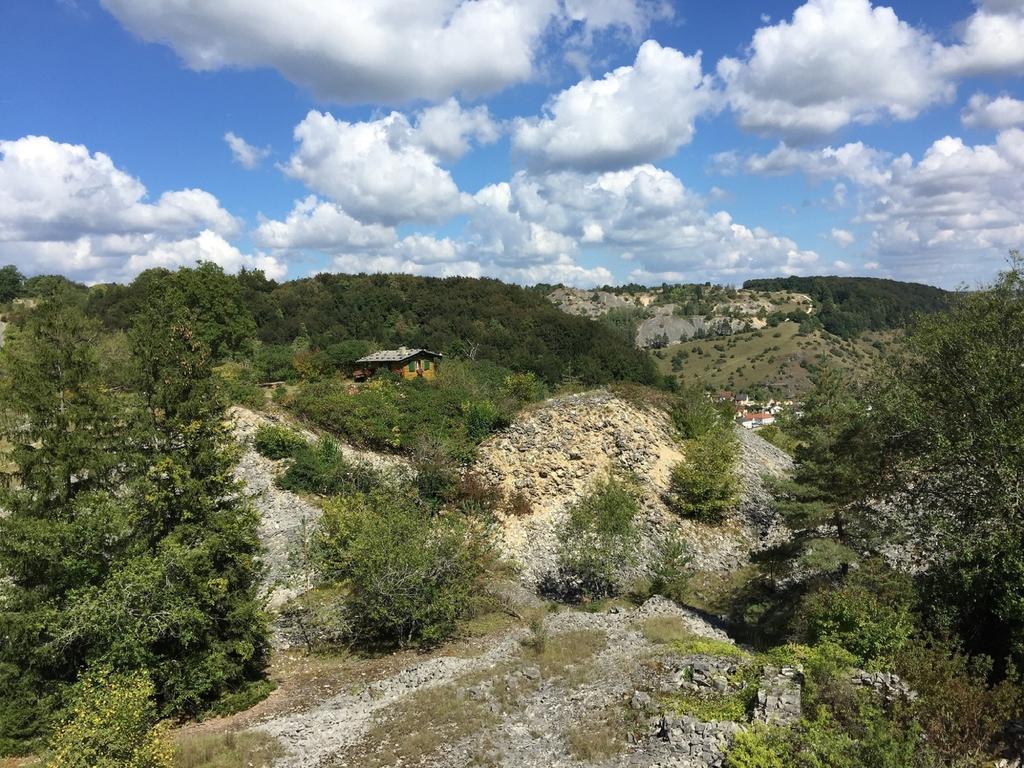 Haus "Am Muehlheimer Berg" Mörnsheim Eksteriør billede